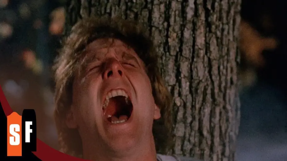 Watch film Sleepaway Camp III: Teenage Wasteland | Bobby Likes To Be Tied Up (2/2)