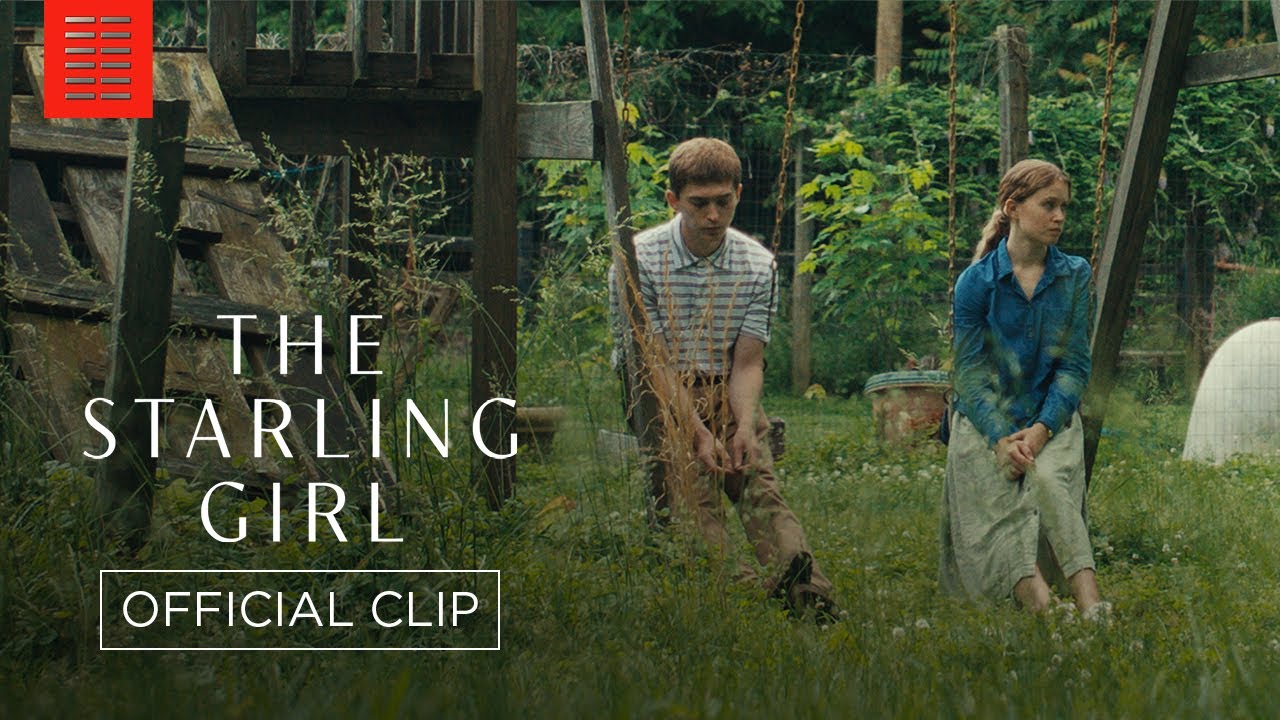 Watch film The Starling Girl | It Was Probably Sick