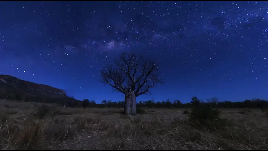 Watch film The Great Kimberley Wilderness | The Great Kimberley Wilderness