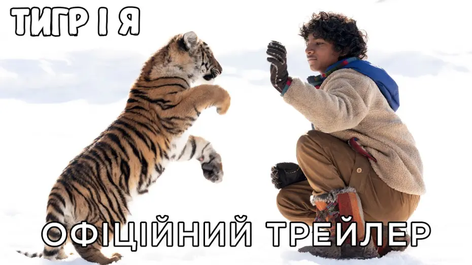 Watch film The Tiger