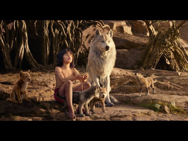 Watch film The Jungle Book | Disney