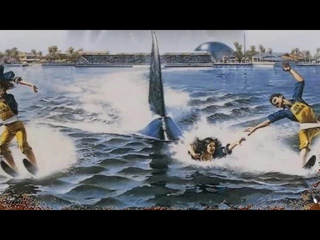 Watch film Jaws 3-D | Jaws 3-D (1983) - Teaser Trailer HD 1080p