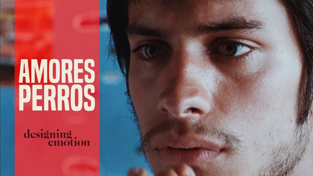 Watch film Amores Perros | Designing Emotion in 