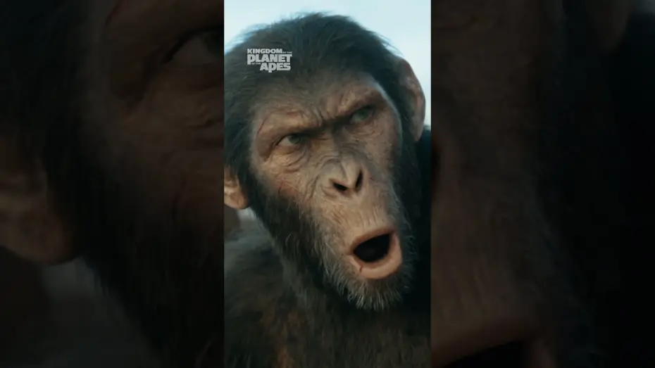 Watch film Kingdom of the Planet of the Apes | The Chant