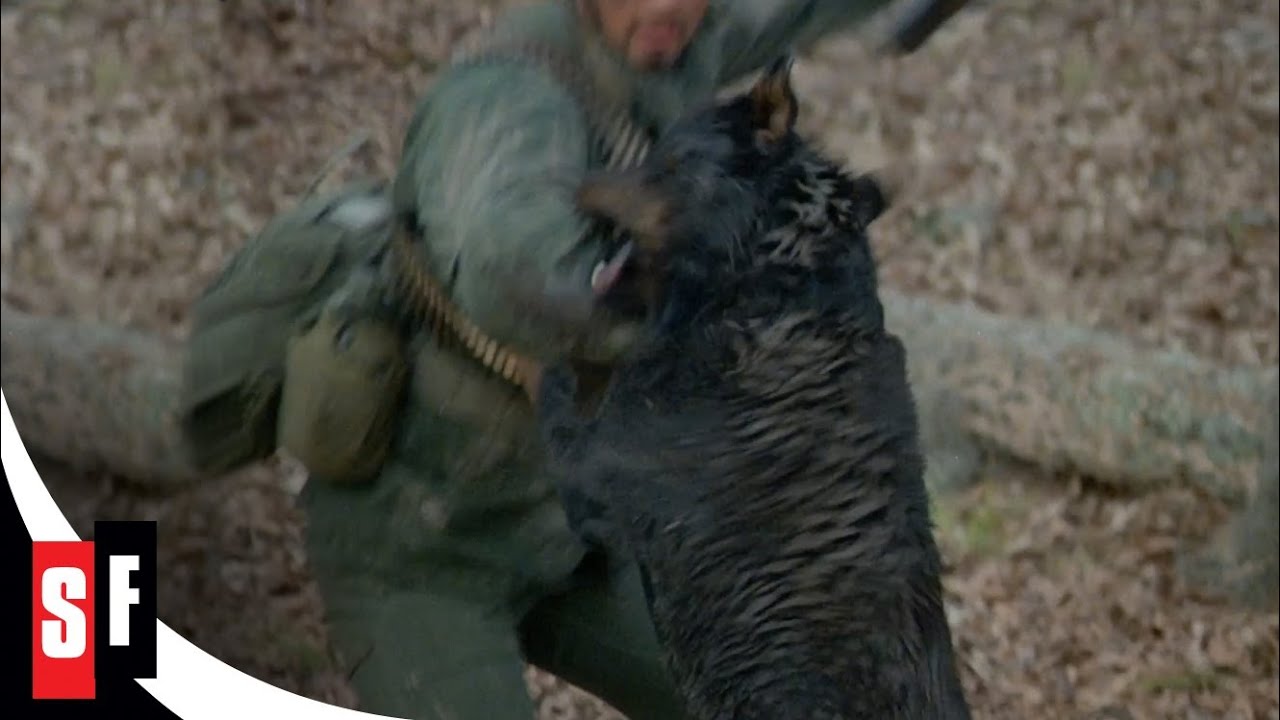 Watch film Southern Comfort | Hunting Dogs Attack