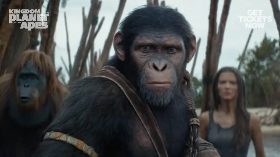 Watch film Kingdom of the Planet of the Apes | The Bridge