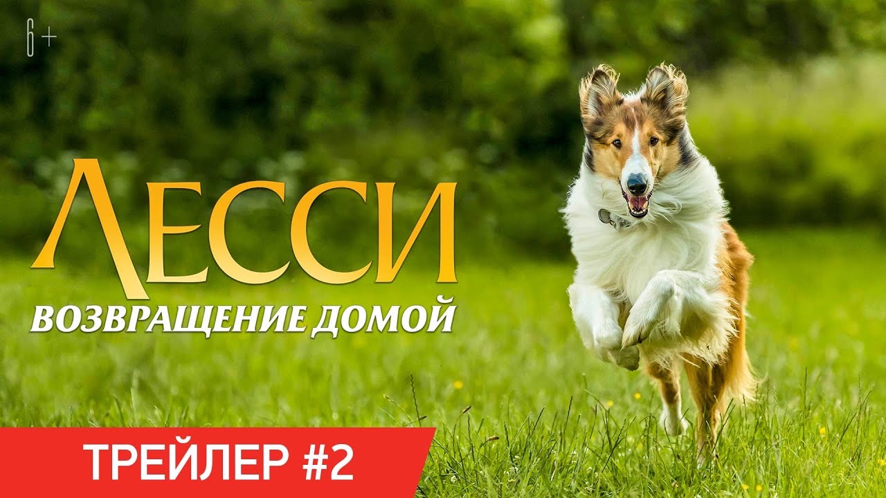 Watch film Lassie Come Home | ЛЕССИ. ВОЗВРАЩЕНИЕ ДОМОЙ | Трейлер #2 | Скоро в кино