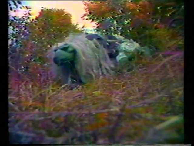 Watch film The Dark Crystal | Test Footage