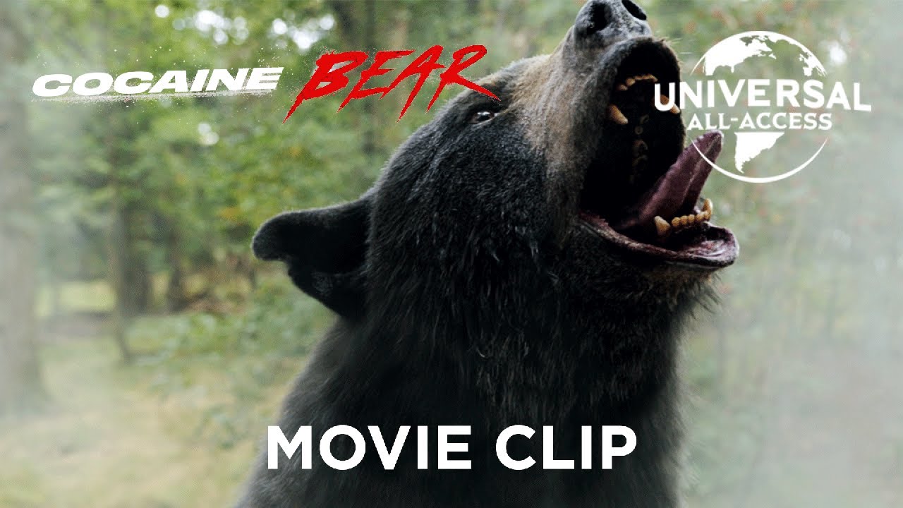 Watch film Cocaine Bear | "Did You Feed it Cocaine?" Clip