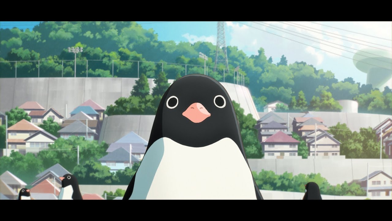 Watch film Penguin Highway | Penguin Highway | Official US Trailer