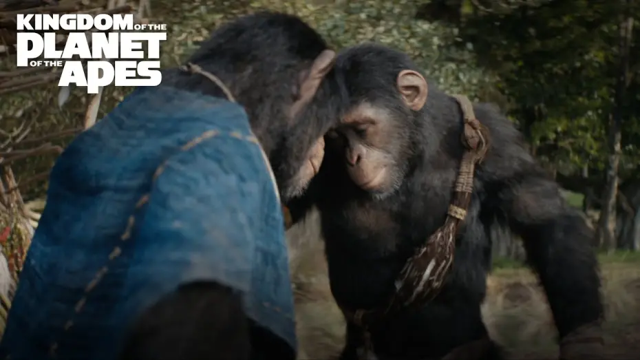 Watch film Kingdom of the Planet of the Apes | Mother