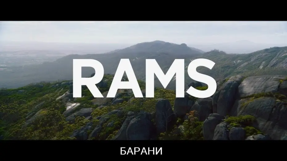 Watch film Rams | Барани / Rams (2020) (УКРАЇНСЬКІ СУБТИТРИ)