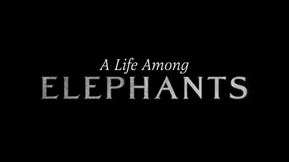 Watch film A Life Among Elephants | A Life Among Elephants - TRAIL 2024