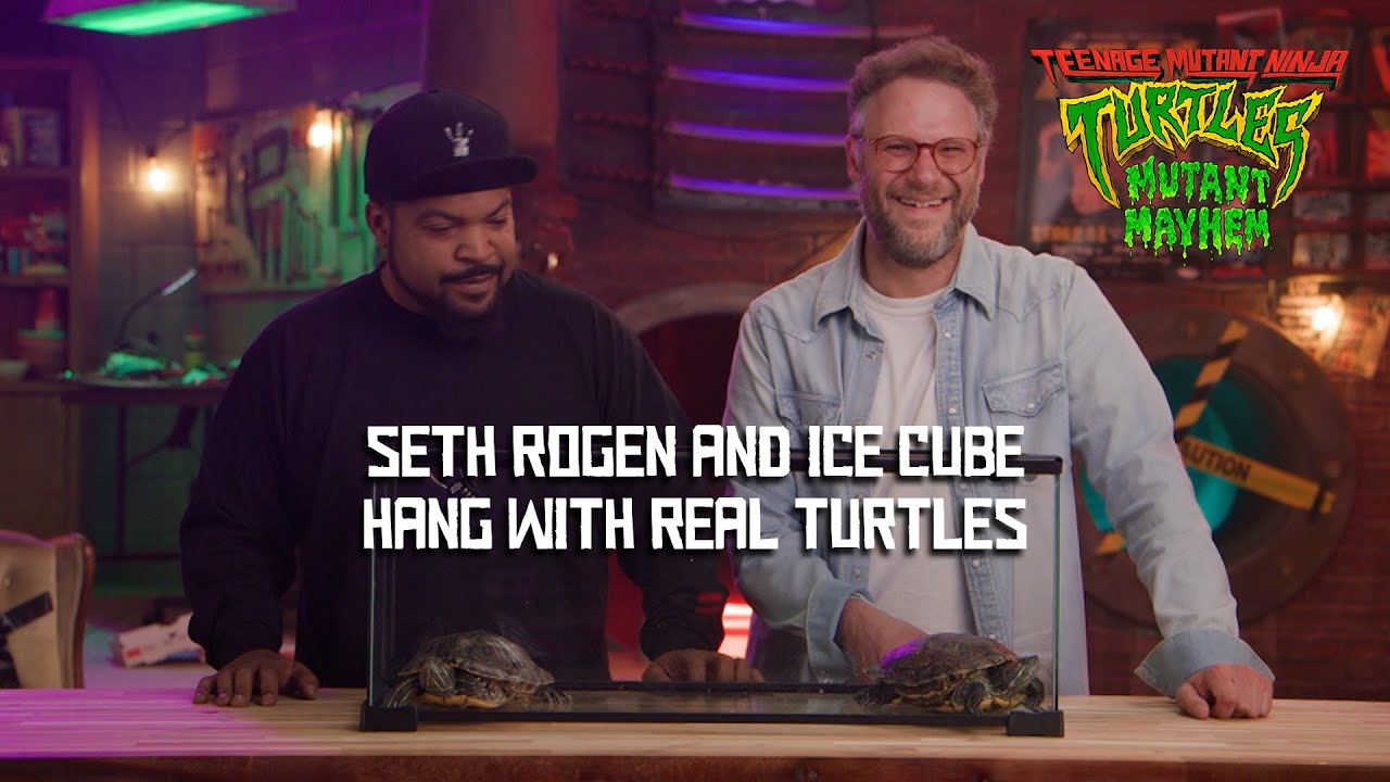 Watch film Teenage Mutant Ninja Turtles: Mutant Mayhem | Seth Rogen and Ice Cube hang with Real Turtles