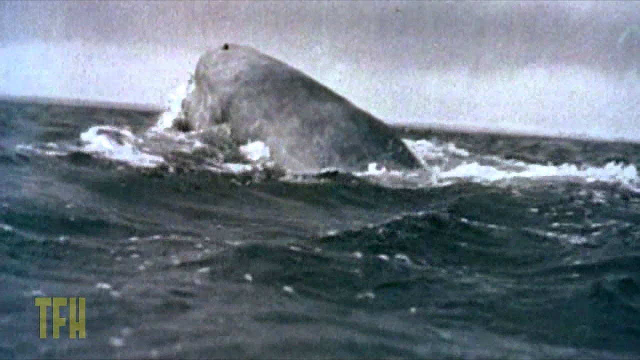 Watch film Moby Dick | Ernest Dickerson on MOBY DICK