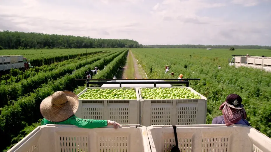 Watch film Food, Inc. 2 | Sneak Peek