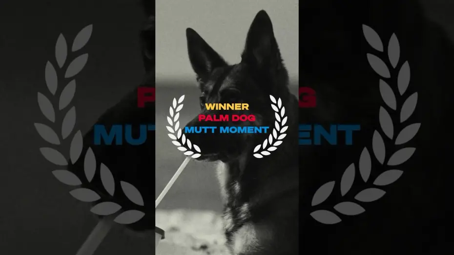 Watch film Kinds of Kindness | Mutt Moment