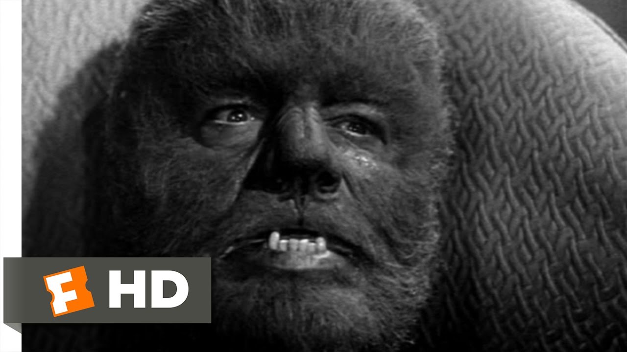 Watch film Bud Abbott and Lou Costello Meet Frankenstein | Abbott and Costello Meet Frankenstein (1/11) Movie CLIP - The Wolf Man Transforms (1948) HD