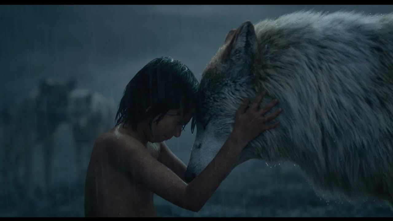 Watch film The Jungle Book | Mowgli Leaves the Pack