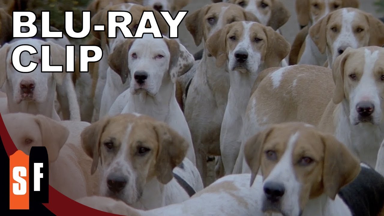 Watch film The Final Conflict | Puppy Overload