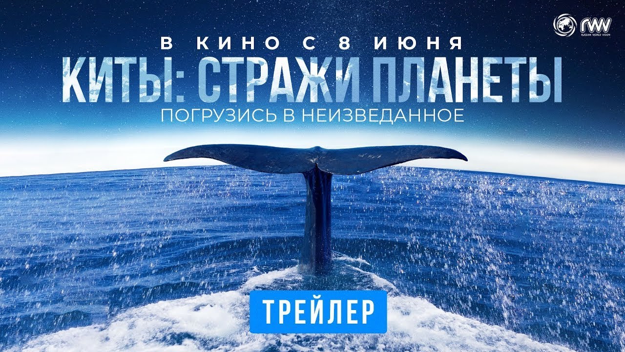 Watch film Whale Nation | трейлер французского познавательного фильма КИТЫ: СТРАЖИ ПЛАНЕТЫ, в кино с 8 июня