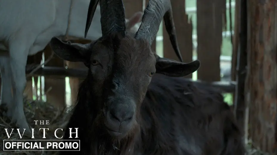 Watch film The Witch | Black Phillip - Official Promo