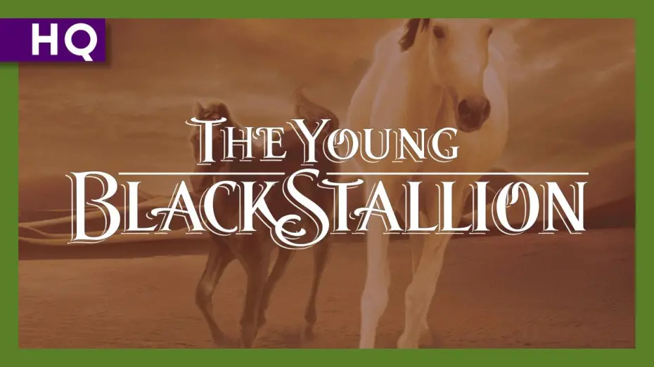 Watch film Young Black Stallion | Young Black Stallion (2003) Trailer