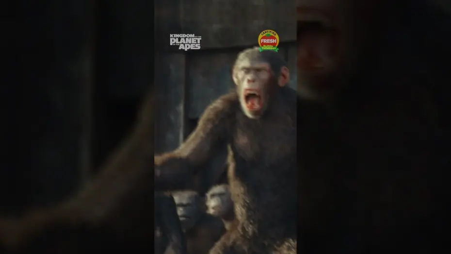 Watch film Kingdom of the Planet of the Apes | Together Strong