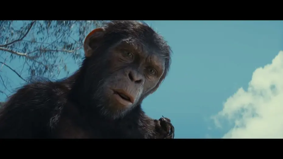 Watch film Kingdom of the Planet of the Apes | Noa’s Revenge