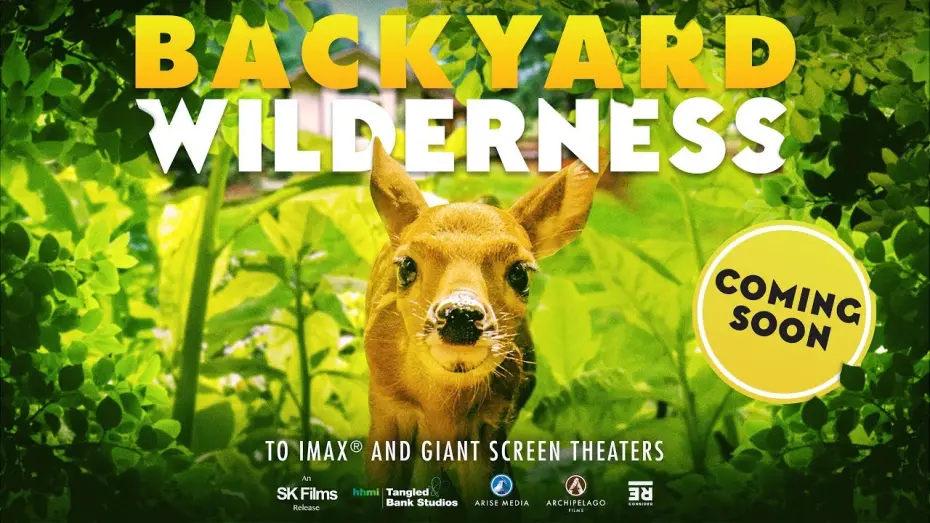 Watch film Backyard Wilderness | Official Trailer