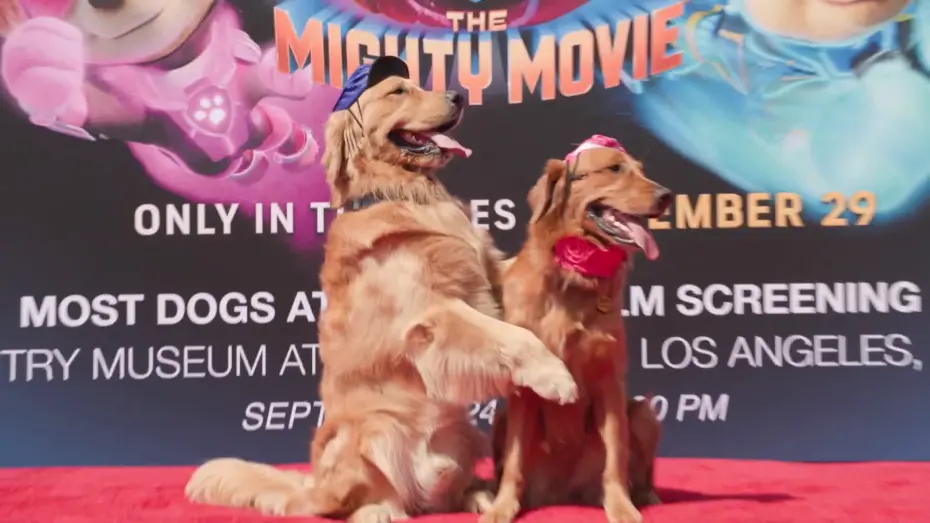 Watch film PAW Patrol: The Mighty Movie | Guinness World Records Title for Most Dogs Attending a Film Screening