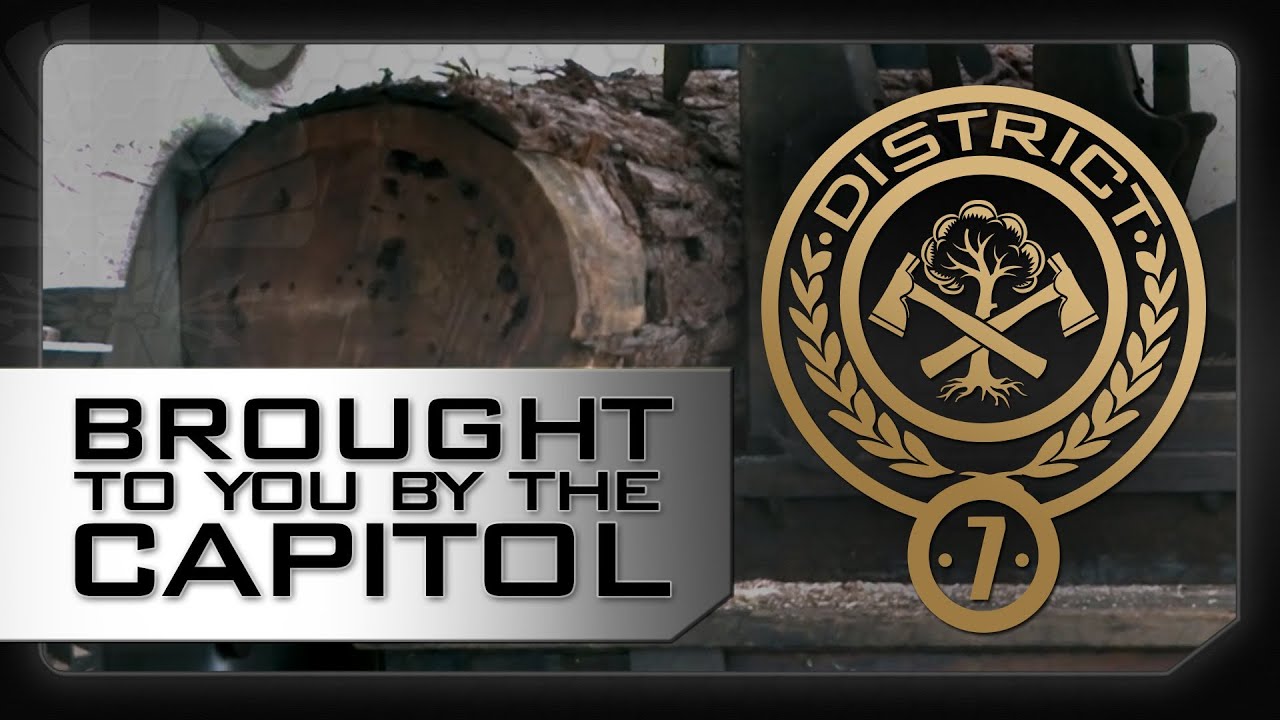 Watch film The Hunger Games: Catching Fire | DISTRICT 7 - A Message From The Capitol - The Hunger Games: Catching Fire (2013)