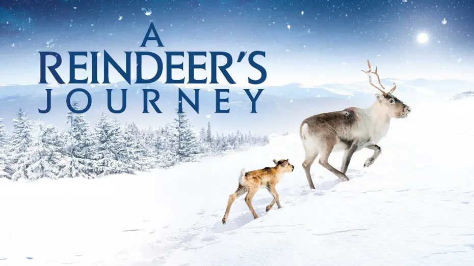 Watch film A Reindeer