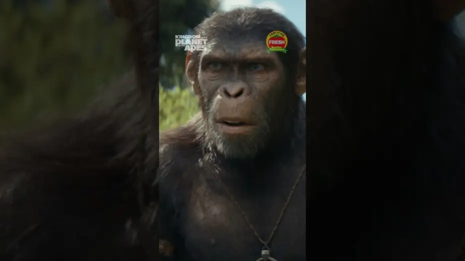 Watch film Kingdom of the Planet of the Apes | Reign