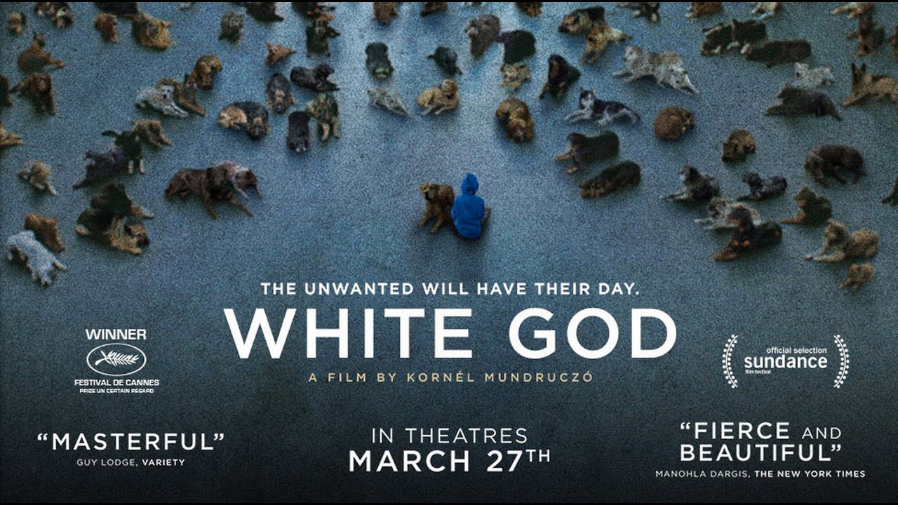 Watch film White God | White God - Official Trailer