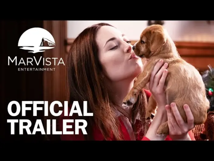 Watch film 12 Pups of Christmas | 12 Pups of Christmas - Official Trailer - MarVista Entertainment