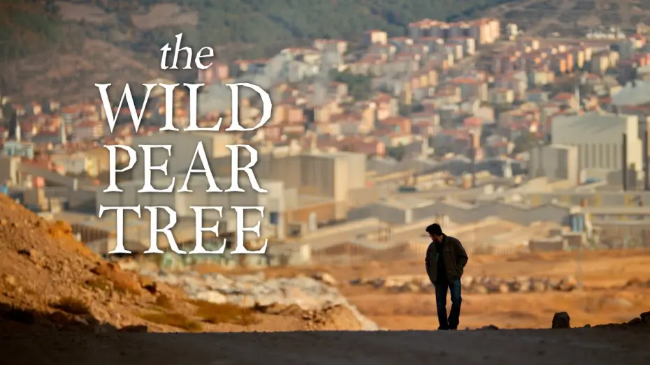 Watch film The Wild Pear Tree | The Wild Pear Tree (official trailer)