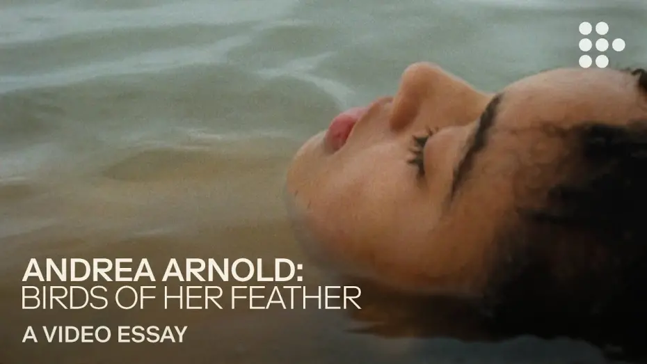 Watch film Bird | Video essay: “Andrea Arnold: Birds of Her Feather” | MUBI