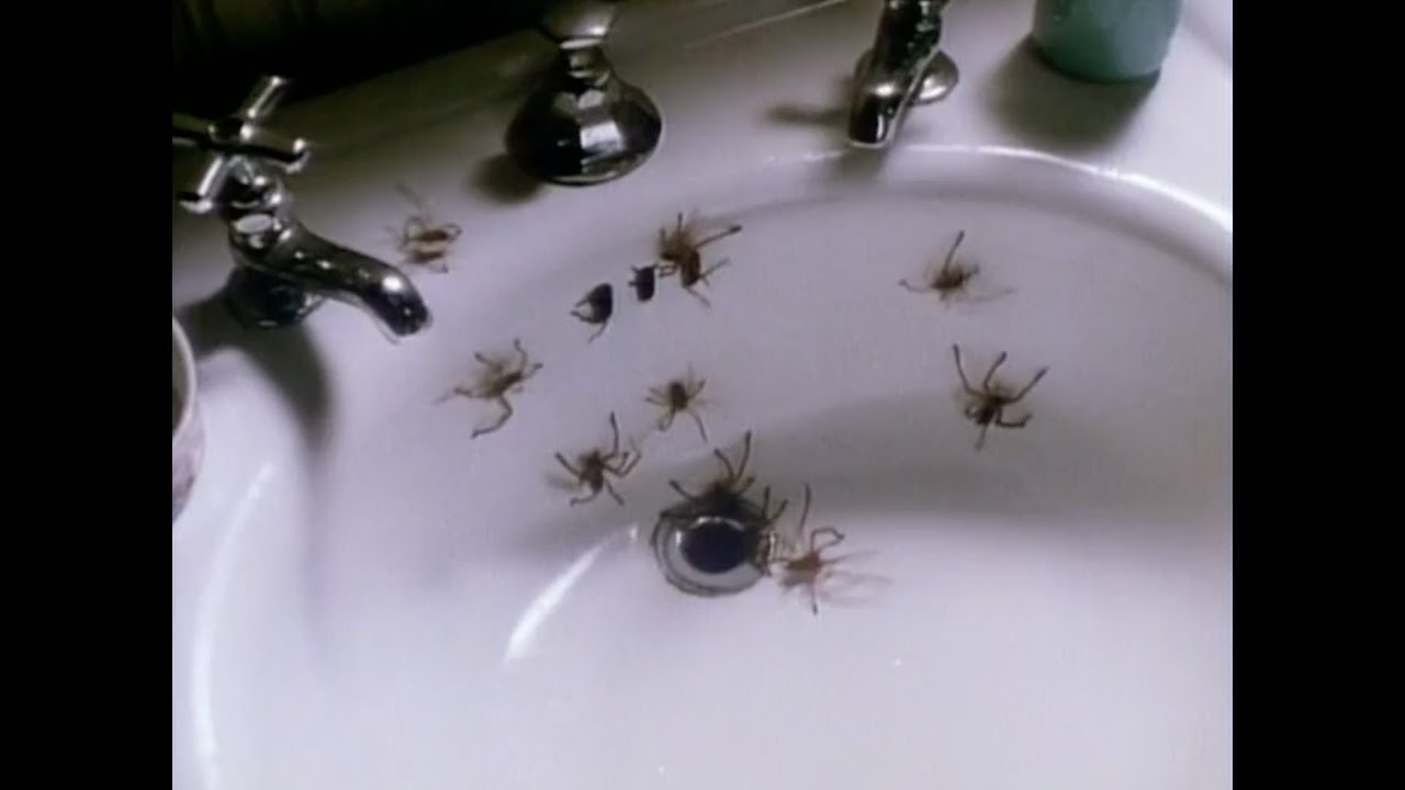 Watch film Arachnophobia | Arachnophobia (1990) Theatrical Trailer