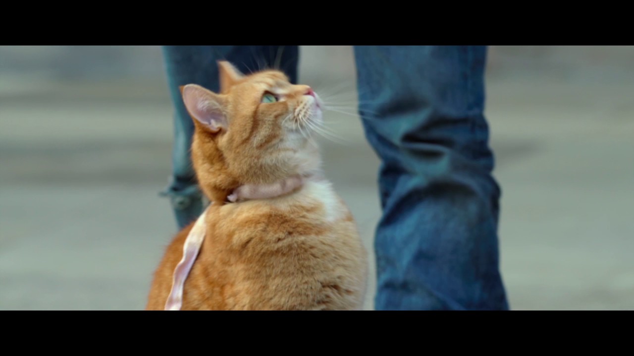 Watch film A Street Cat Named Bob | A Street Cat Named Bob - Getting the Punters In Clip - At Cinemas Now