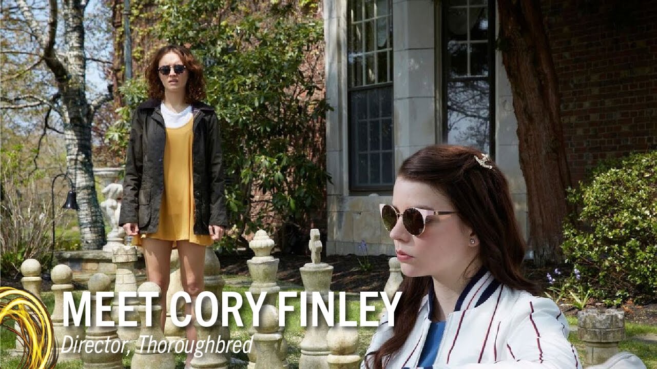 Watch film Thoroughbreds | Next Competition: Thoroughbred