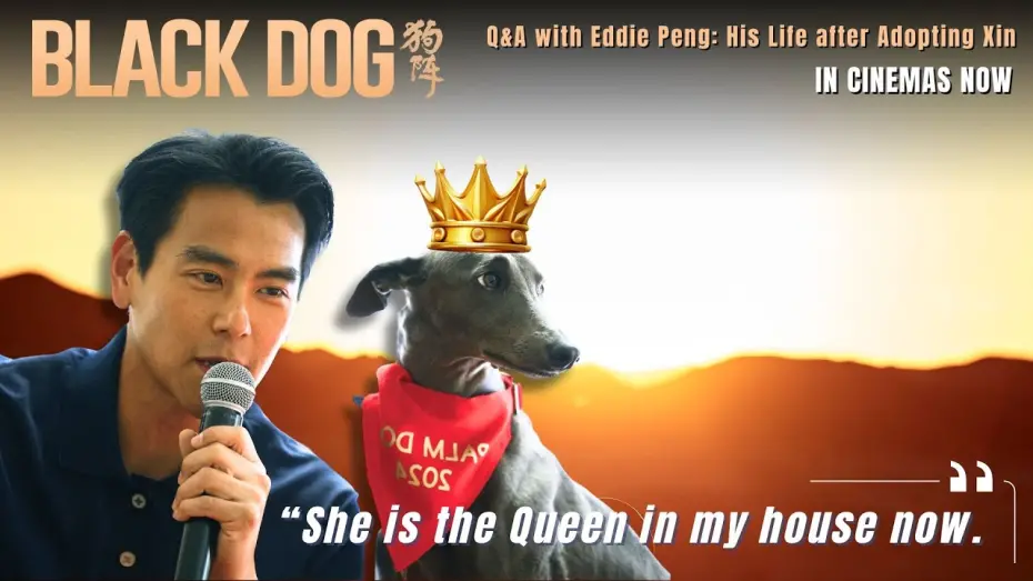 Watch film Black Dog | Q&A with Eddie Peng: "Xin is the Queen in my house now."