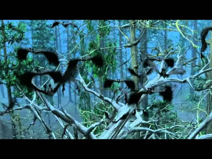 Watch film Bats: Human Harvest | Bats: Human Harvest - Trailer