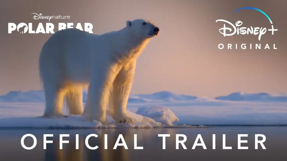 Watch film Polar Bear | Official Trailer