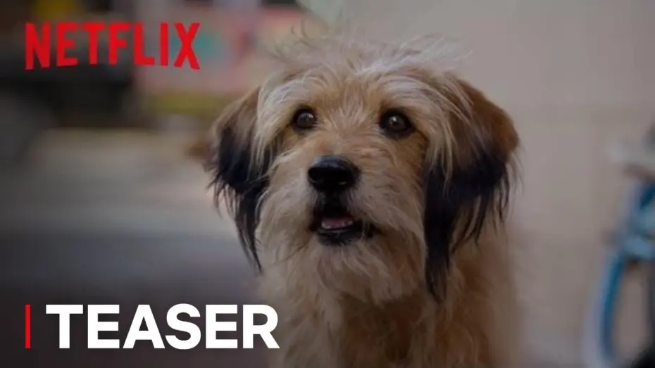 Watch film Benji | Benji | Official Teaser [HD] | Netflix