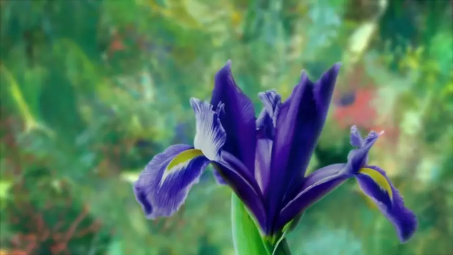 Watch film Painting the Modern Garden: Monet to Matisse | Watch the trailer for 