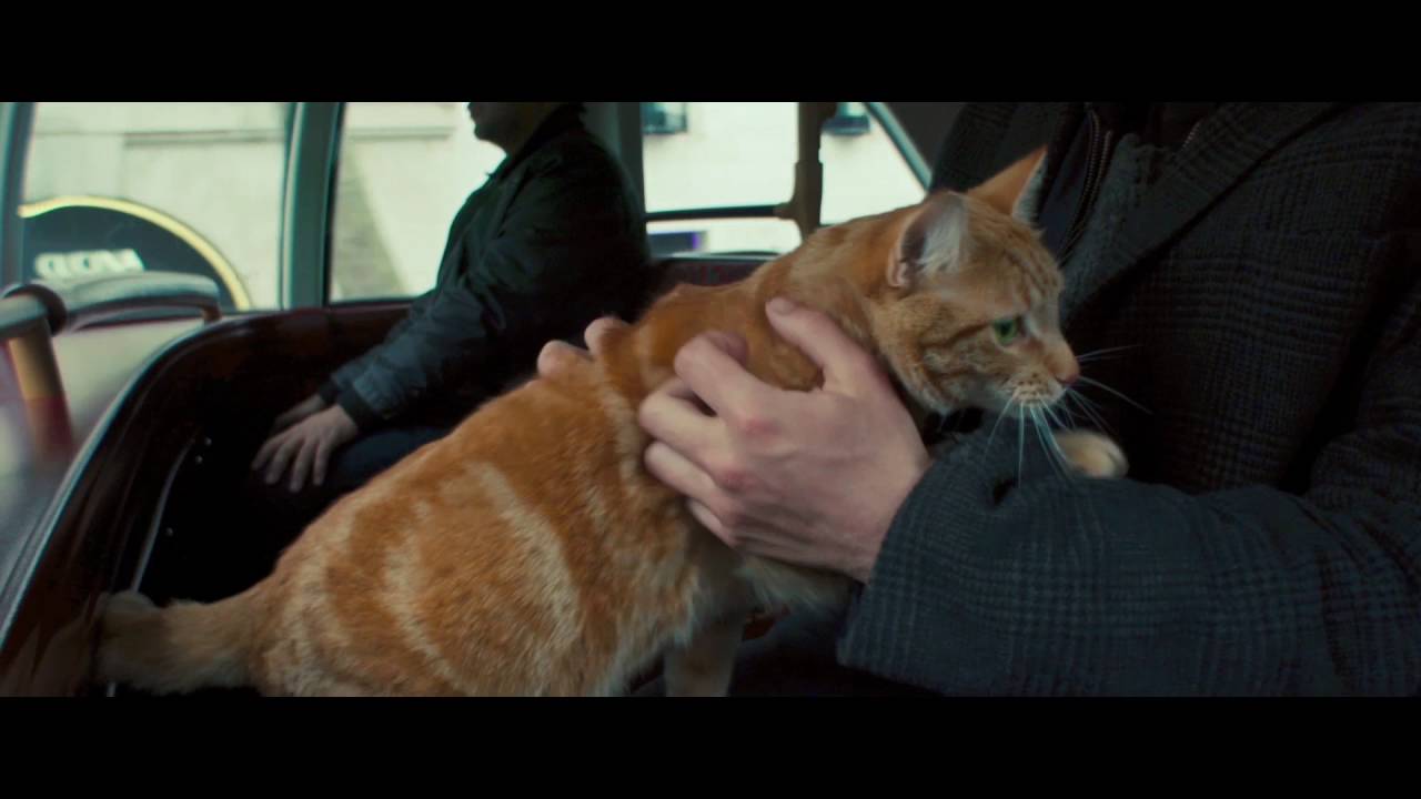 Watch film A Street Cat Named Bob | A Street Cat Named Bob - Bus Clip - At Cinemas November 4