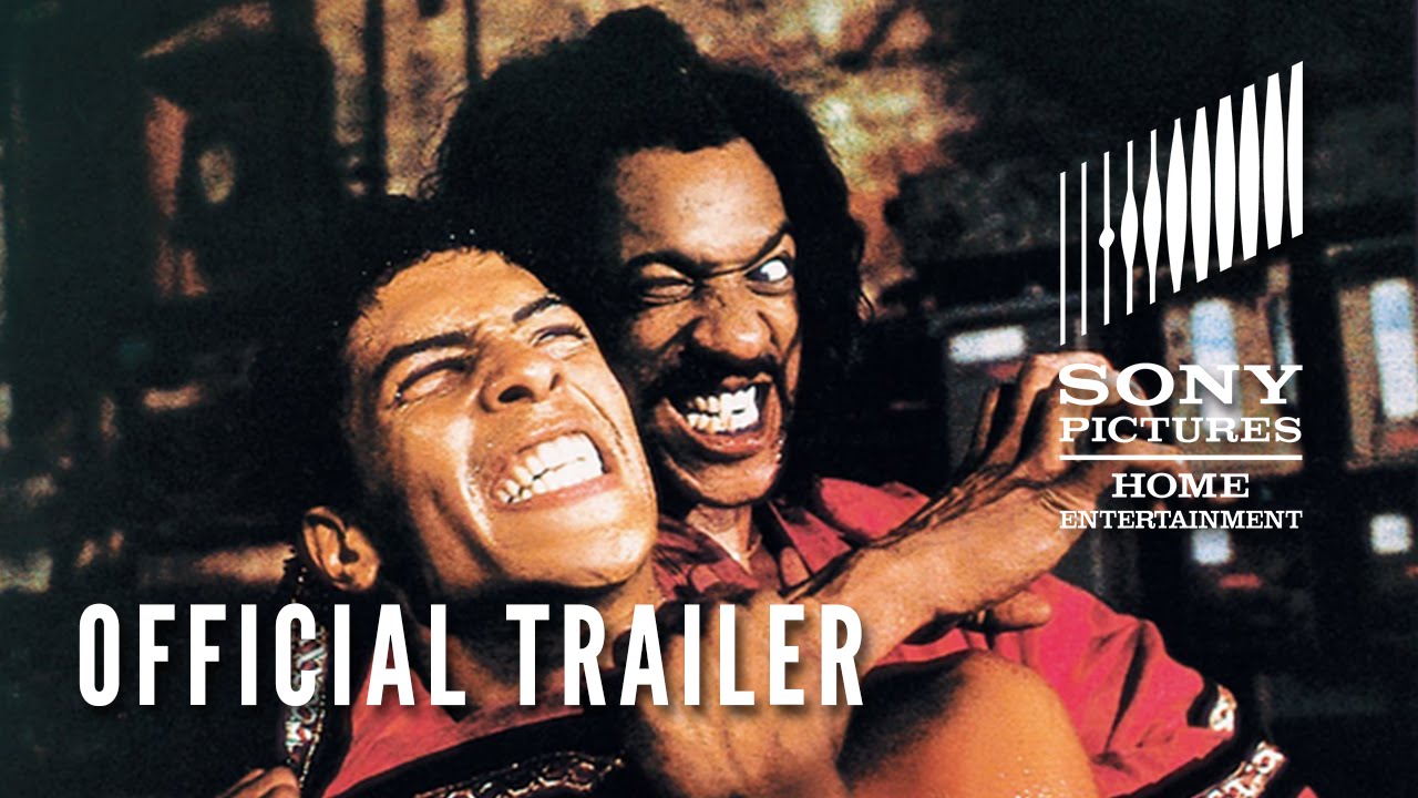 Watch film The Last Dragon | Official Trailer