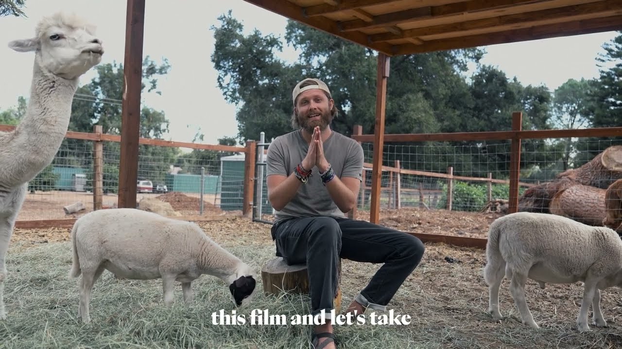 Watch film Christspiracy | We rescued Lambs from Ritual Slaughter! Plus, Red Carpet Giveaway!