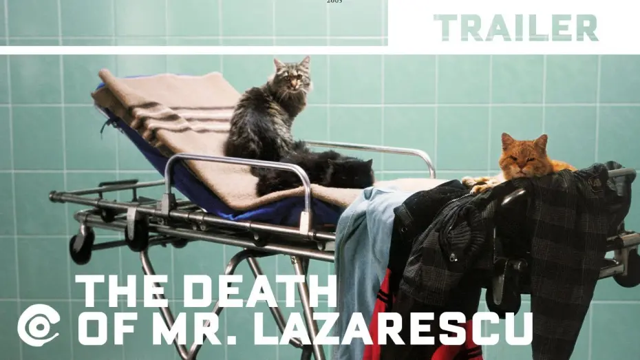 Watch film The Death of Mr. Lazarescu | THE DEATH OF MISTER LAZARESCU by Cristi Puiu (2005) - Official International Trailer